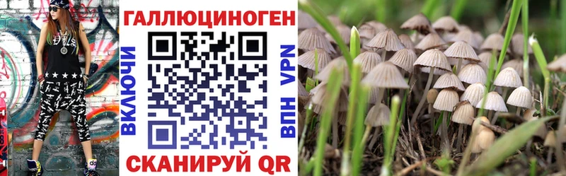 Псилоцибиновые грибы GOLDEN TEACHER  Купить закладки  Завитинск 